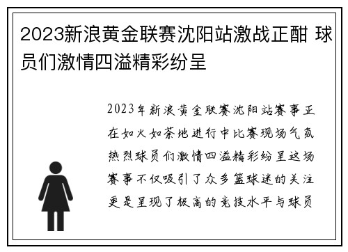 2023新浪黄金联赛沈阳站激战正酣 球员们激情四溢精彩纷呈